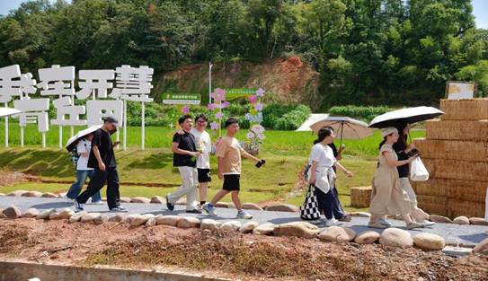 ce7e2c2c7347232eab20fe41ec041dd9